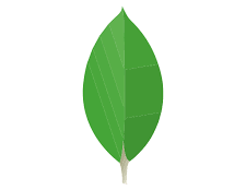 MongoDB